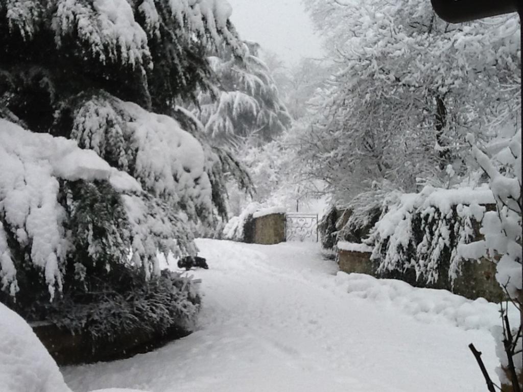 Ferienwohnung Cascina Bricco Ovada Exterior foto